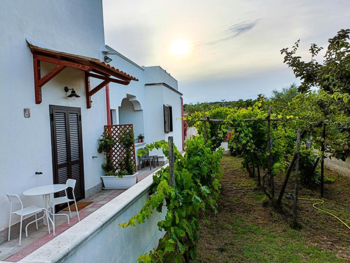Il Giunco B&B ヴィエステ エクステリア 写真